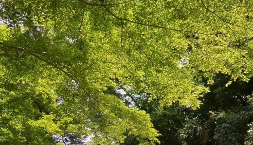 【アラサーアルバイト】１週間のスケジュール