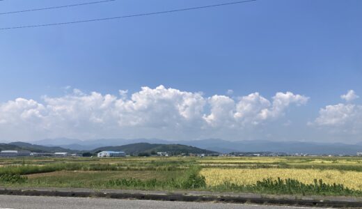 【田舎暮らし】高知県・土佐清水市で過ごす夏